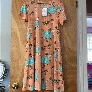LuLaRoe Jessie Dress